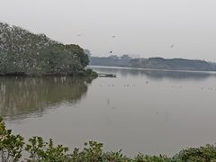 -海珠湖公园