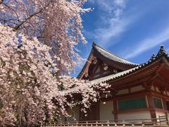 -醍醐寺