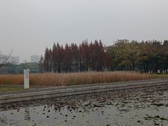 -巡塘古镇