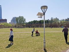 -泰丰公园