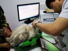 -可蒙动物医院·猫科·骨科中心(首义路店)