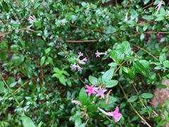 -碓臼峪自然风景区