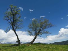 -硗碛藏寨·神木垒景区