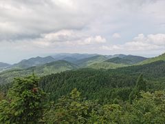 -武陵山森林公园