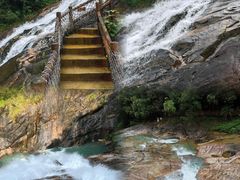 -广州白江湖森林公园