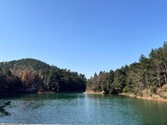 -四明山国家森林公园