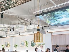 -探窝·竹笙椰子鸡(杨箕店)