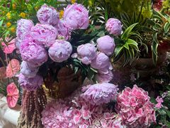 -BEAST野兽派(上海浦东嘉里城店)