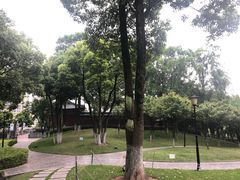 -重庆市江北嘴中央商务区中央公园