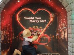 -济州岛泰迪熊博物馆