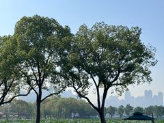 -武汉动物园