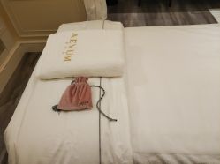 -奥斯芬欧系贵族SPA