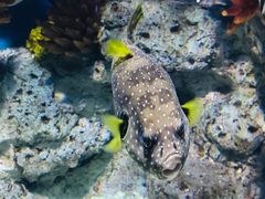 -福州罗源湾海洋世界旅游区