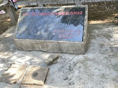 -上海佘山国家森林公园天马山园