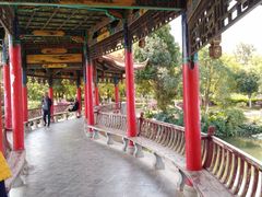 -洛龙公园