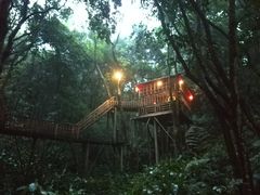 景点-天门沟九州驿站树上汤泉