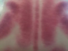 -荣神艺·推拿SPA养生馆(万菱汇店)