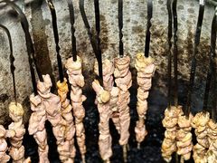 -陈记农家挂炉烤肉(雁南一路店)