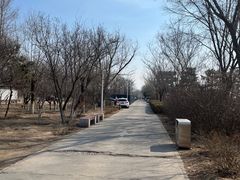 -绿堤公园