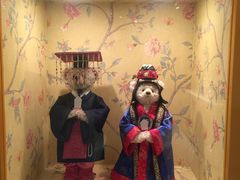 -济州岛泰迪熊博物馆