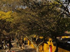 -虞山风景区