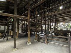 -燊海井