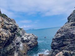 -杨梅坑