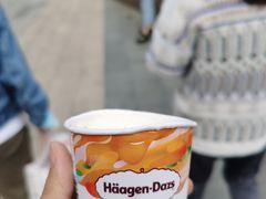 -哈根达斯(深圳海岸城店)