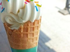 -松涛园朝鲜·海鲜·料理店(鸭绿江断桥店)