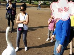 -海德公园