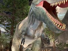 -湖南省地质博物馆