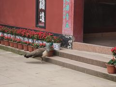 -乐山大佛风景名胜区乌尤寺南门-售票点