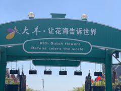 -荷兰花海