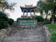 -龙沙公园