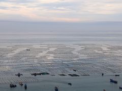 -枸杞岛