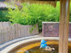 -大连金石滩绿发温泉假日酒店