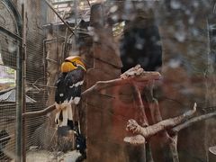 -长鹿旅游休博园