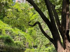 -竹吟山房