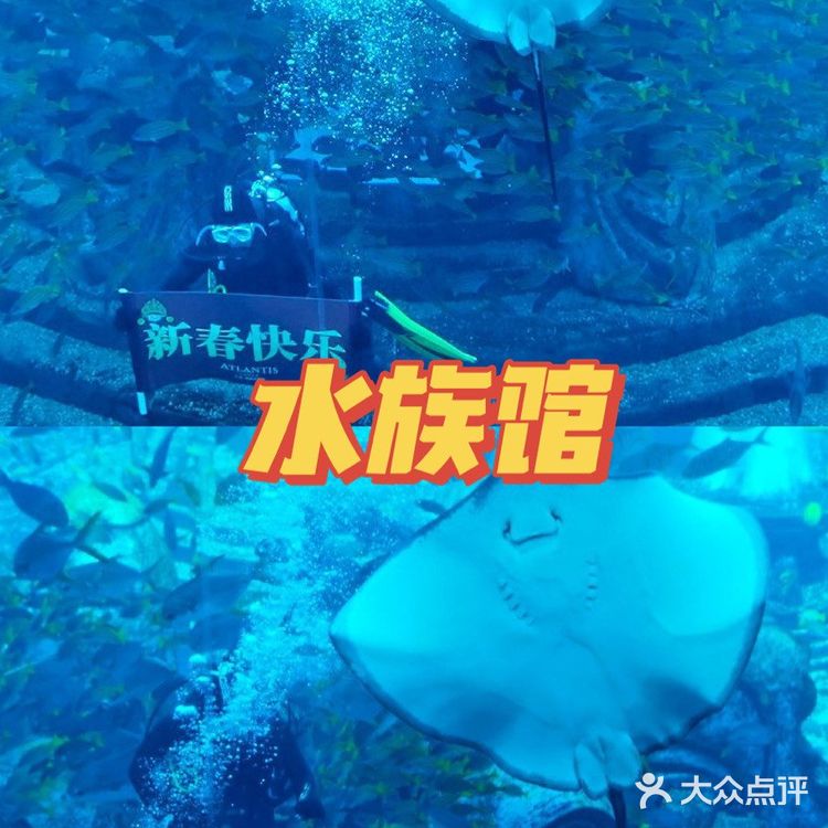 三亚景点|亚特兰蒂斯水族馆攻略