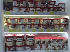 哈根达斯-全家便利店(襄阳南路店)