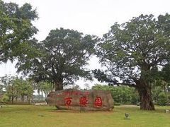 -万绿园