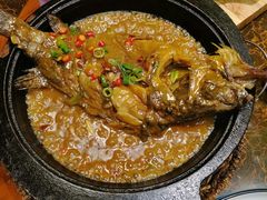 -老江南春·中国龙菜(衡山路店)