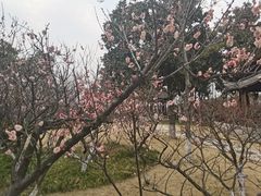 -春兰国宾馆(凤城河风景区老街店)
