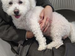 -关爱宠物医院·猫科中心·消化科(滨湖万达分院)