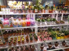 -KKV(深圳宏发大仟里店)