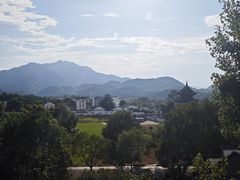 -黄牛肉馆·皖南土菜