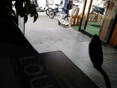 -河风の幸会精致料理