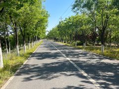 -绿堤公园