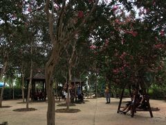 -武汉紫薇都市田园