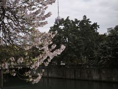 -成都市活水公园